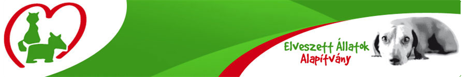 kutya, menhely, kutyamenhely