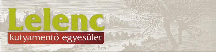 kutya, menhely, kutyamenhely